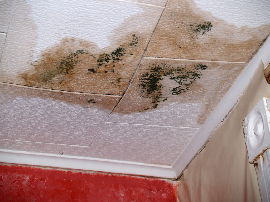 mold in the ceiling